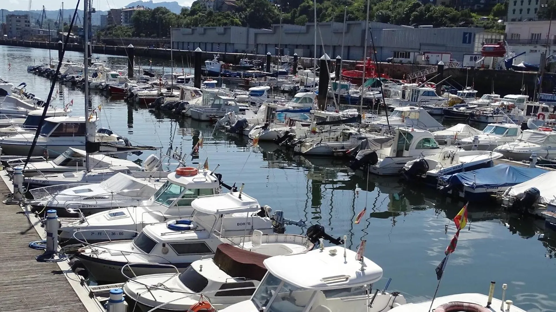 Oleta 9 Acogedor Apartamento En San Sebastián